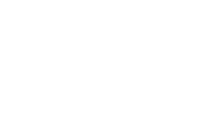 PASCH Initiative
