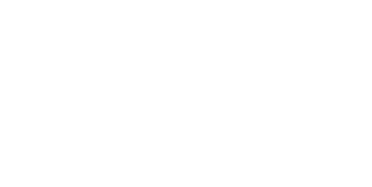 Goethe Institut